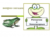 Презентация по биологии на тему Разнообразие и значение земноводных (7 класс)