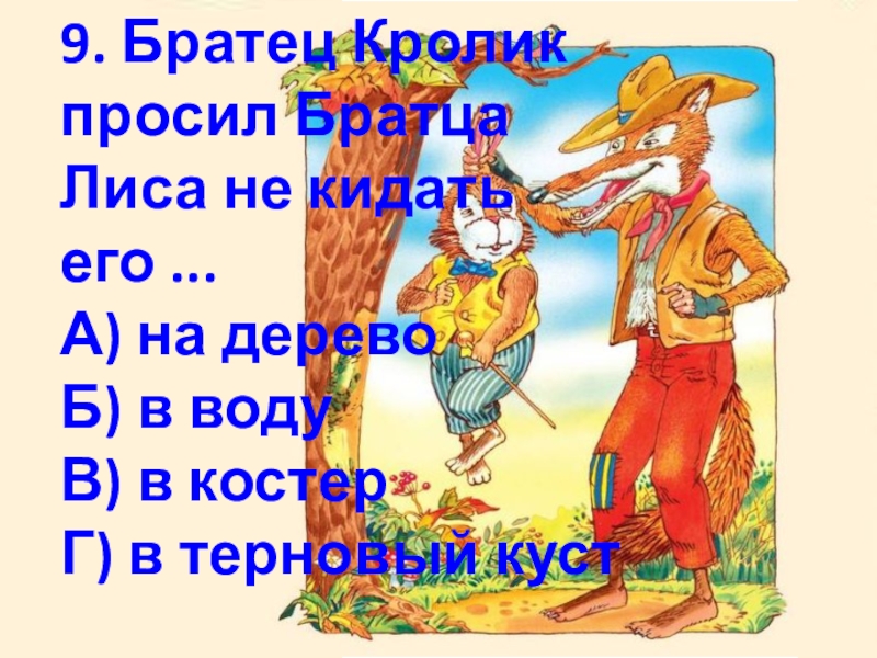 План братец