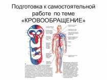 Подготовка к самостоятельной работе по теме Кровообращение