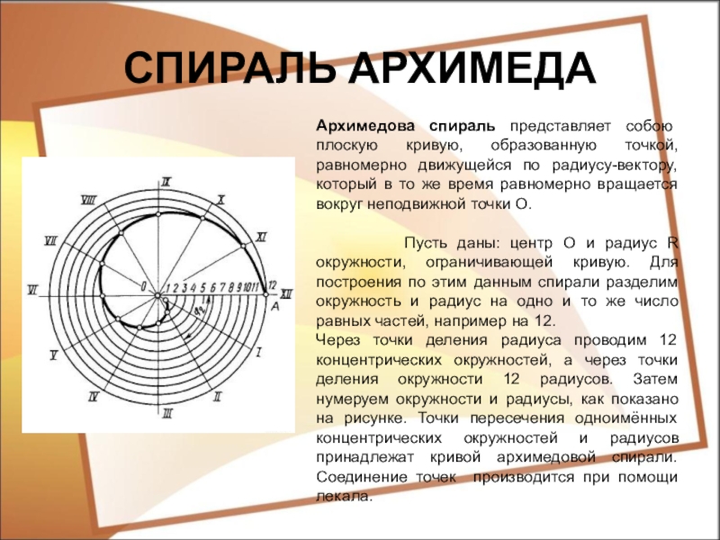 Математические кривые проект