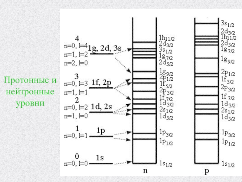 Модель оболочек. Оболочечная модель ядра заполнение. Оболочечная модель ядра уровни. Модель оболочек основного состояния ядра. Оболочечная модель заполнение уровней.