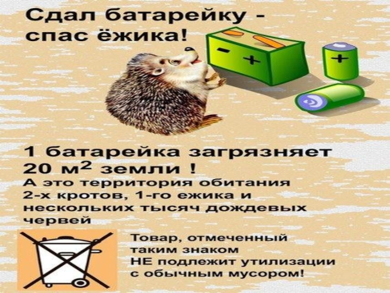 История маленькой батарейки презентация