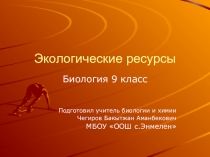 Презентация 9 класс на тему Экологические ресурсы