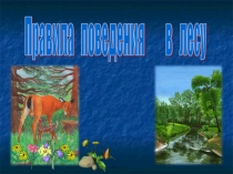 Презентация по правилам поведения в лесу