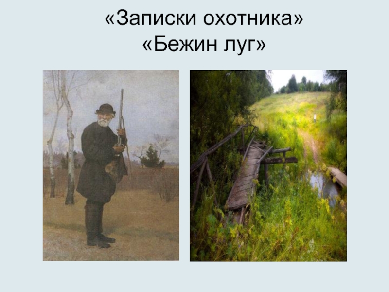 Бежин луг фото охотника