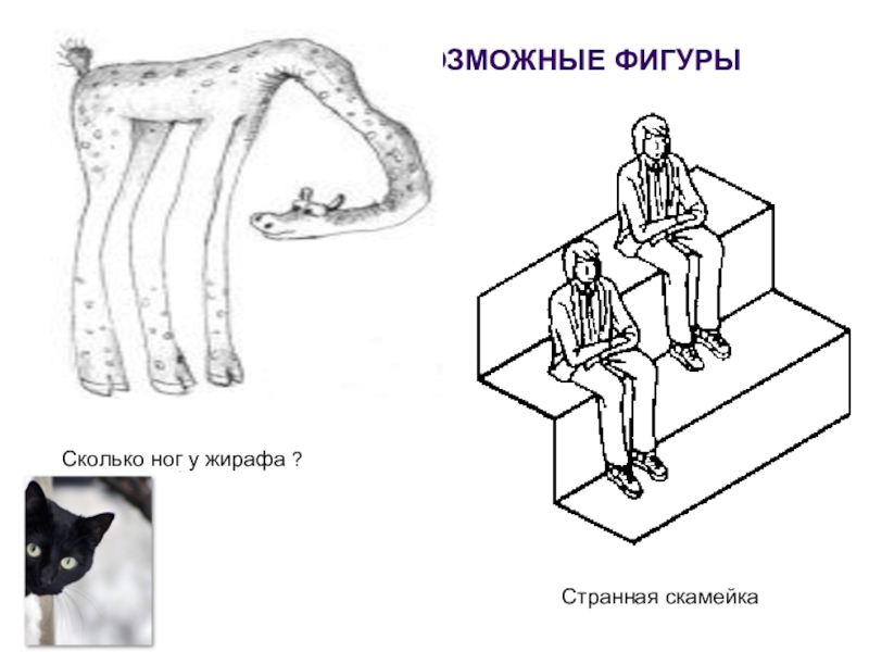 Картинка не верь своим глазам