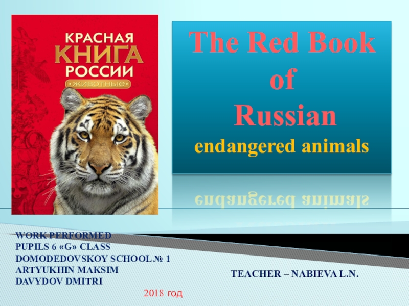 Презентация Презентация по английскому языку  The Red Book of Russian endangered animals