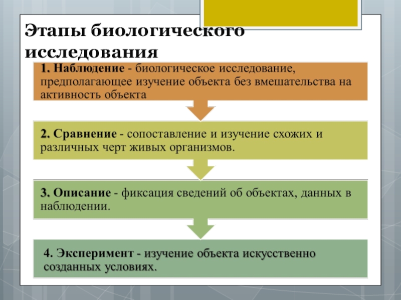 Всероссийский этап биология