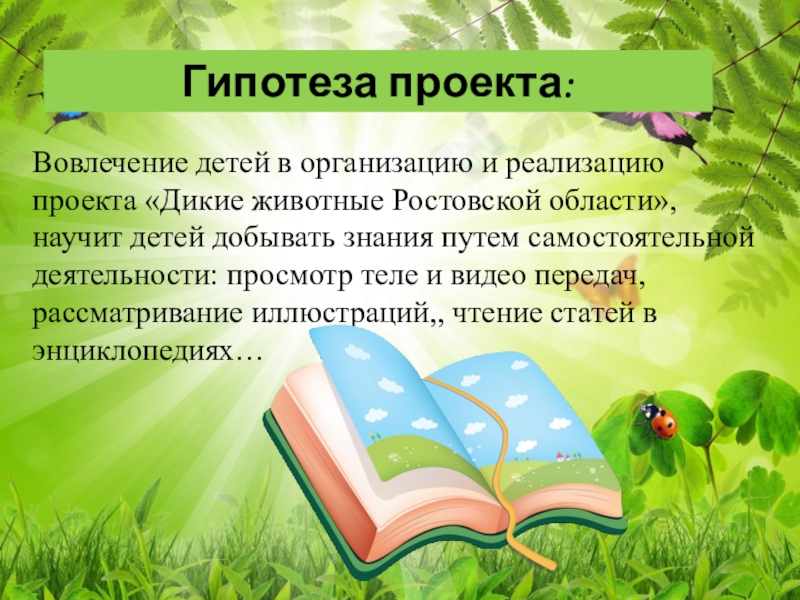 Гипотеза проекта. Гипотеза проекта Дикие животные. Гипотеза для проекта животные Татарстана. Гипотеза в проекте о летних каникулах. Гипотеза проекта библиотеки.