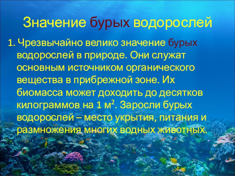 Презентация водоросли их разнообразие и значение в природе