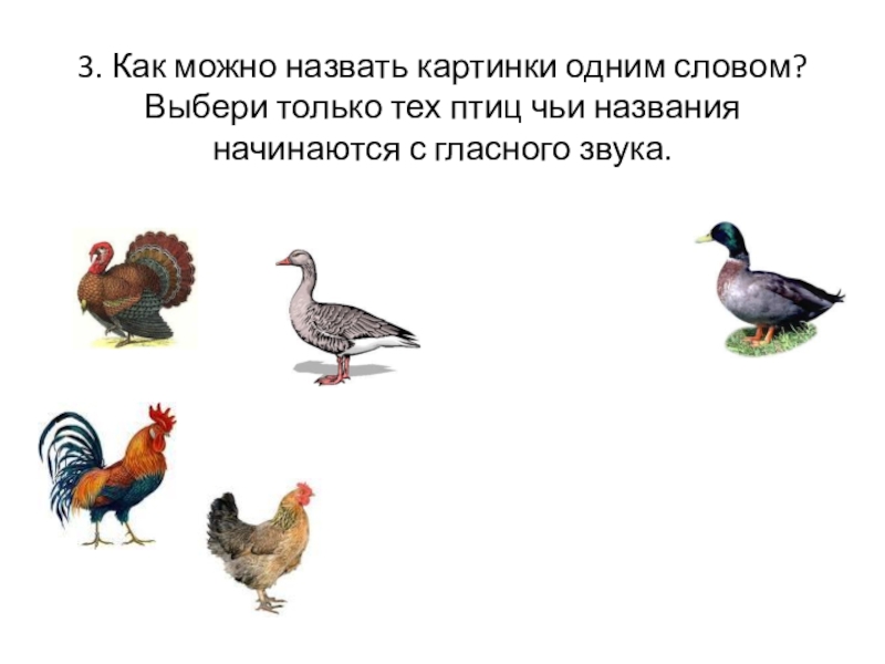 3. Как можно назвать картинки одним словом? Выбери только тех птиц чьи названия начинаются с гласного звука.