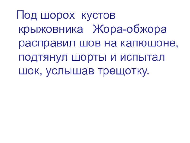 Под шорох кустов крыжовника Жора-обжора расправил шов на капюшоне, подтянул шорты и испытал шок, услышав