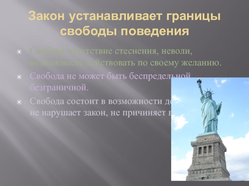 Как вы понимаете свободу. Границы свободы поведения. Закон устанавливает границы поведения. Закон устанавливает границы свободы. Закон устанавливает границы свободы поведения 7 класс.