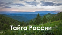 Презентация для урока по теме Разнообразие лесов России