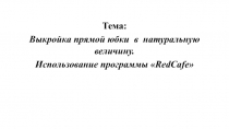 Презентация по технологии по теме: Выкройка прямой юбки в натуральную величину. Использование программы RedCafe