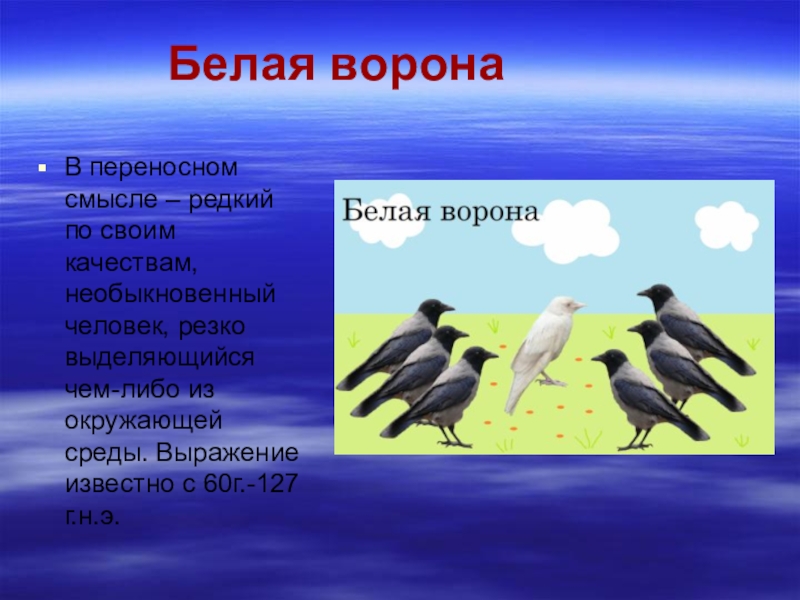 Ворон предложение. Фразеологизмы с птицами. Фразеологизмы с названиями птиц. Фразеологизмы сназваними птиц. Фразеологизмы с названиями птиц и их происхождение.