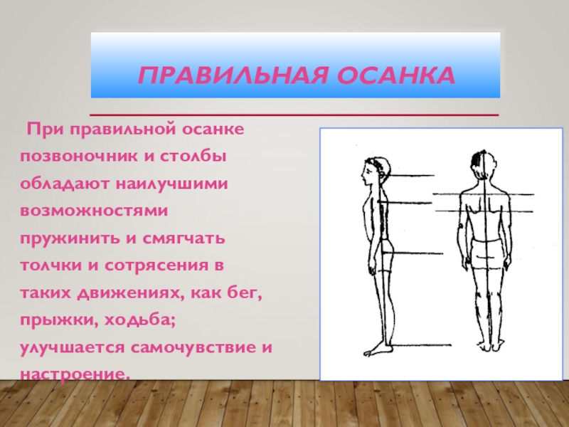 Правильная осанка. При правильной осанке. Позвоночник при правильной осанке. При правильной осанке Позвоночный столб.