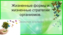 Презентация к уроку экологии на тему Жизненные формы и жизненные стратегии организмов.
