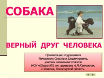 Классный час Собака - верный друг человека