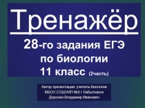 Презентация по биологии на тему: Генетика. Тренажёр 28-го задания ЕГЭ- часть 2 (11класс)