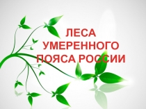 Презентация Леса умеренного пояса России