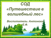 Презентация Путешествие по волшебному лесу
