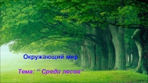 Организация групповой работы на уроке окружающего мира по теме Среди лесов (4 класс)