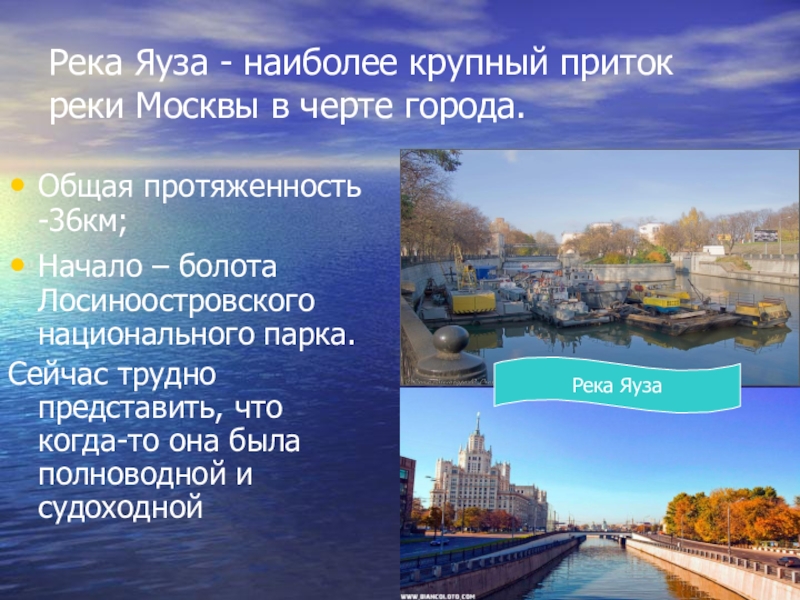 2 реки в москве названия. Река Яуза впадает в Москву реку. Описание реки Москва река. Москва река доклад. Описание реки Яуза.