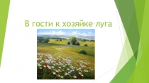 Презентация по экологии В гости к хозяйке луга