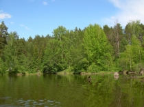 Презентация по окружающему миру на тему День Земли