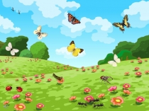 Бабочка красавица(Старшая группа)