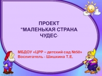 Презентация по предметно-пространственной среде в группе Маленькая страна