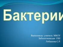 Презентация по биологии 5 класс по теме Бактерии