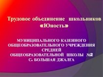 Презентация к выступлению Трудовое объединение школьников