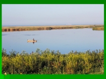 Презентация по биологии на тему Сохраним богатство живой природы (5 класс)