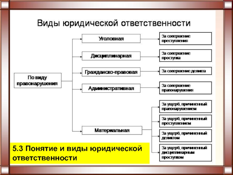 Основные виды юридической ответственности схема решу егэ