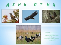 Презентация День птиц