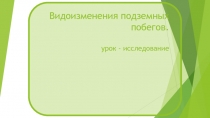 Презентация к уроку -исследованию по теме : Видоизменения подземных побегов