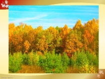 Презентация Математика 1 класс Число и цифра 0