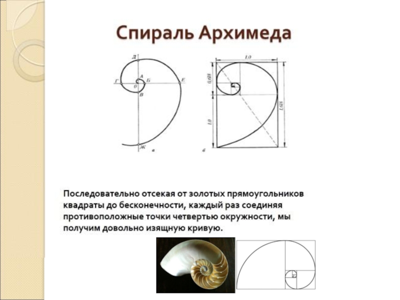 Гармония золотого сечения проект