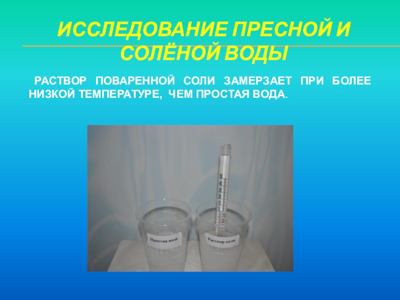 Раствор соли температура. Опыт с соленой и пресной водой. Замерзания соленой и пресной воды опыт. Свойства соленой воды. Соленое-пресное опыт.