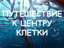 Научно-развлекательная квест-игра Путешествие к центру клетки (10-11 класс, 1-2 курс)