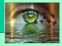 Презентация по биологии на тему Зрительный анализатор (8 класс)