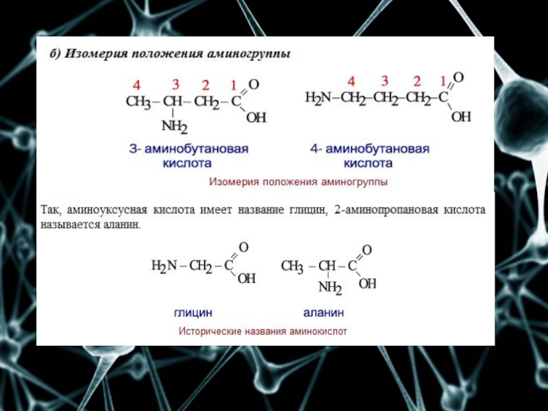 1 2 аминобутановая кислота. Реакции с аминокислотами 10 класс. Аминокислоты изомерия химия 10 класс. 2-Аминопропановая кислота класс. Аминокислоты химия 10 класс.