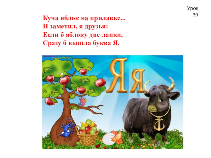 Б сразу б. Куча яблок на прилавке и заметил я друзья. Буква я похожа на яблоко. Буква я похожа на яблоню. Я куча яблок на прилавке.