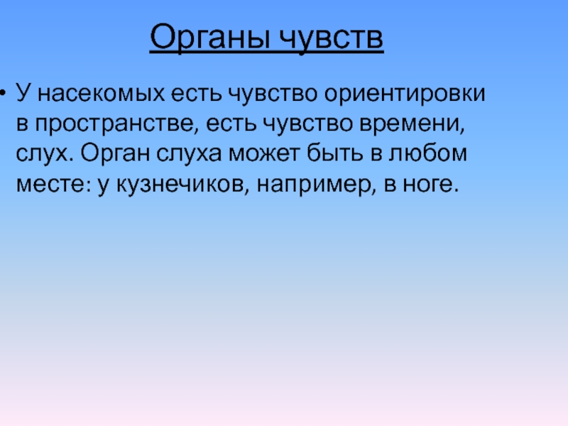 Чувства насекомых