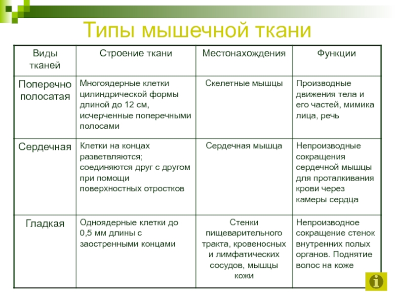 Ткани проект по биологии 8 класс