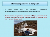 Презентация к занятию Югра -моё наследие (3 класс)