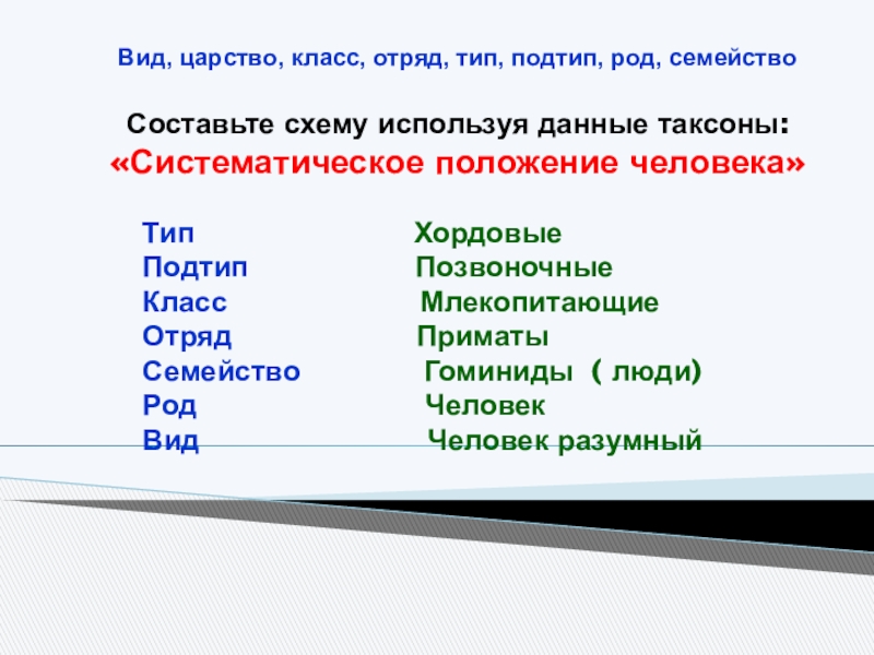 Класс вид семейство царство