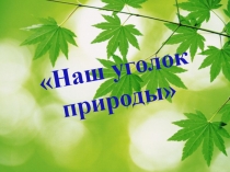 Презентация Наш уголок природы